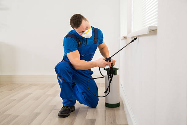 Superior Pest Control San Diego — Pest control service